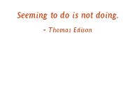 Seeming to do is not doing - Thomas Edison